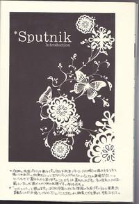 Sputnik Introduction 10