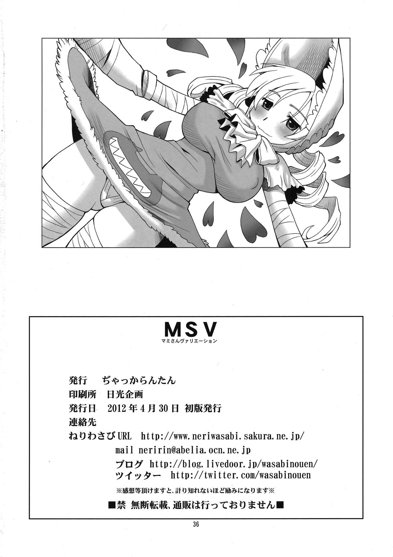 MSV 35