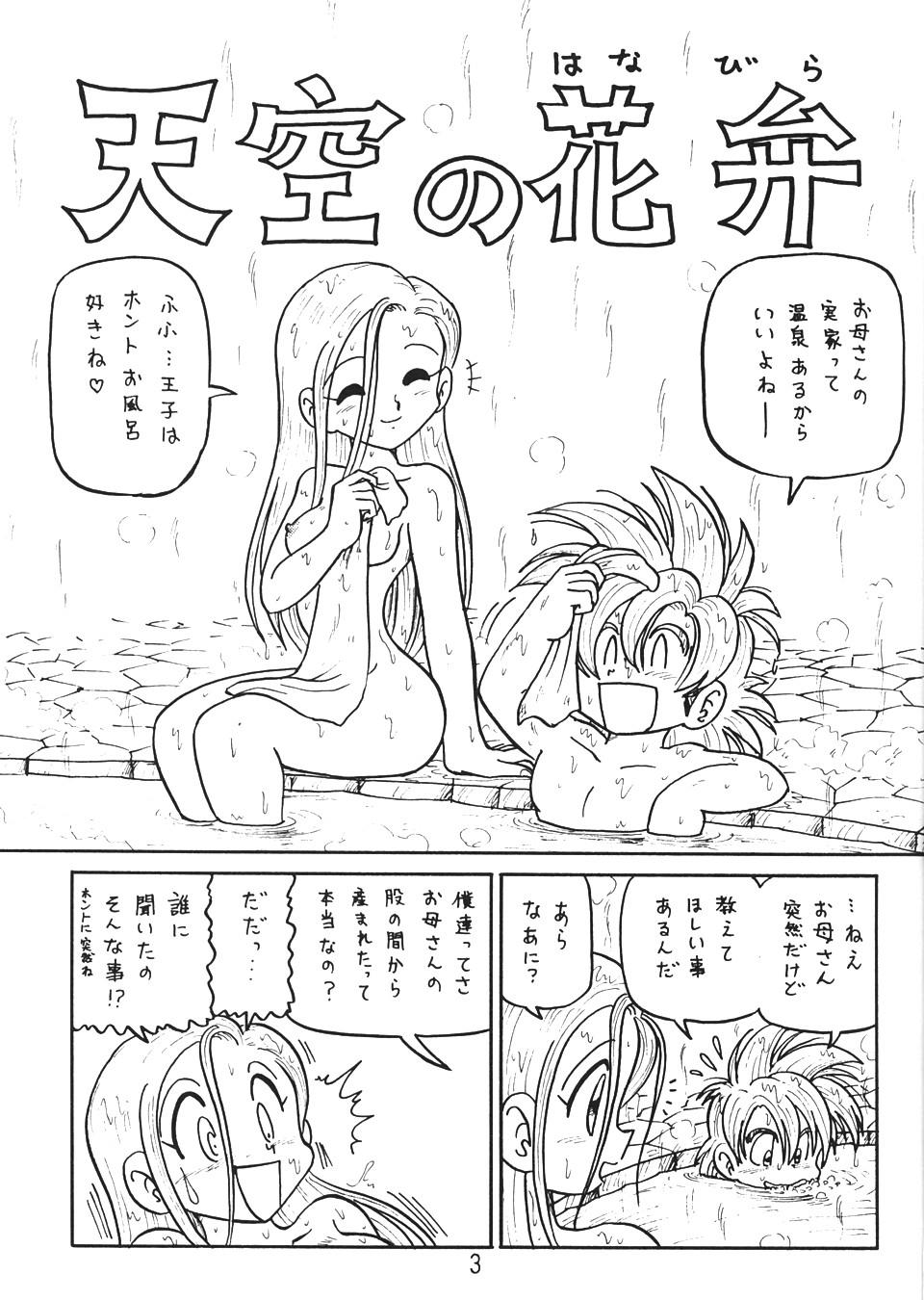 Married Botsu Rinusu Kin 2 - Dragon quest Scandal - Page 2