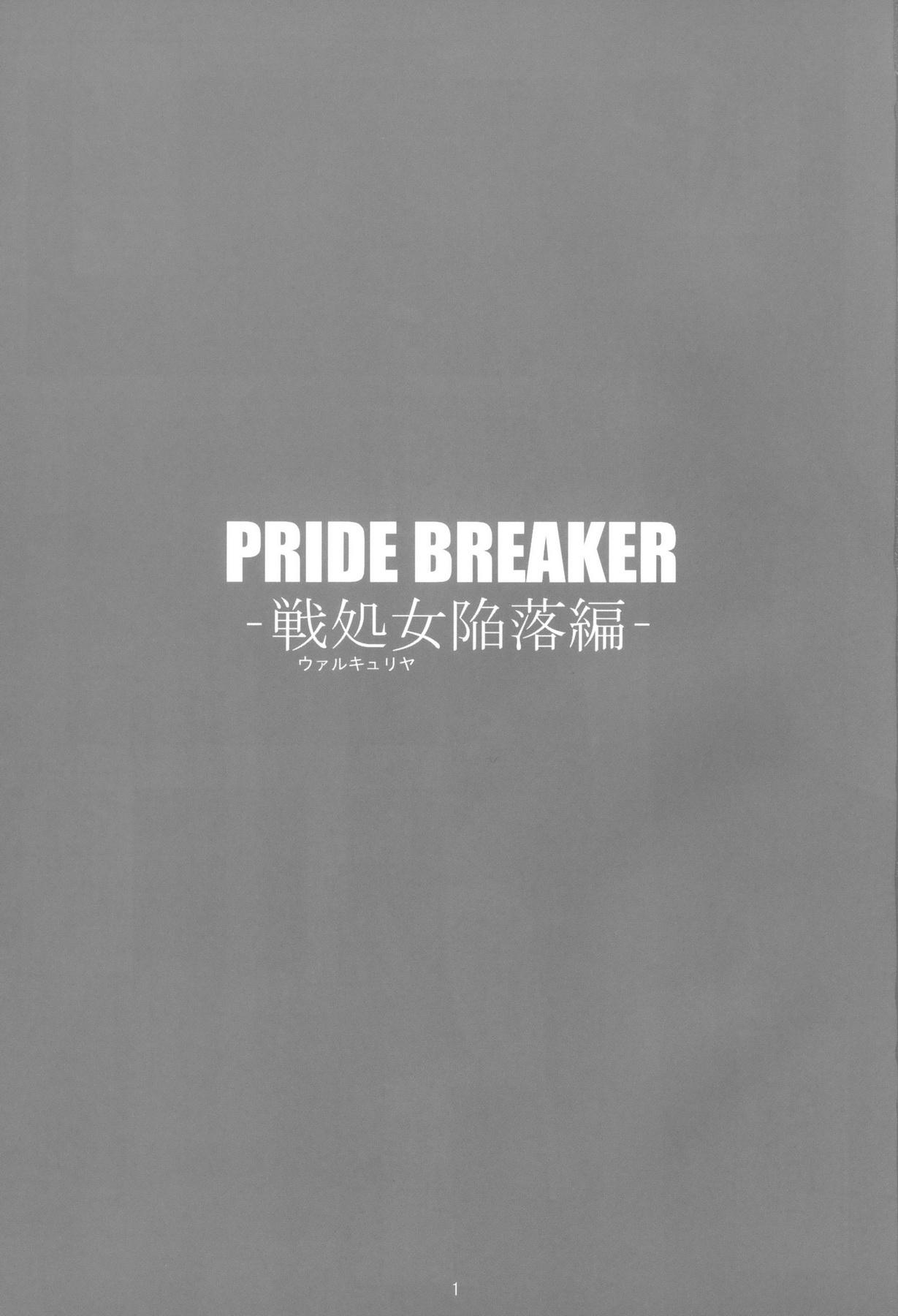 PRIDE BREAKER 1