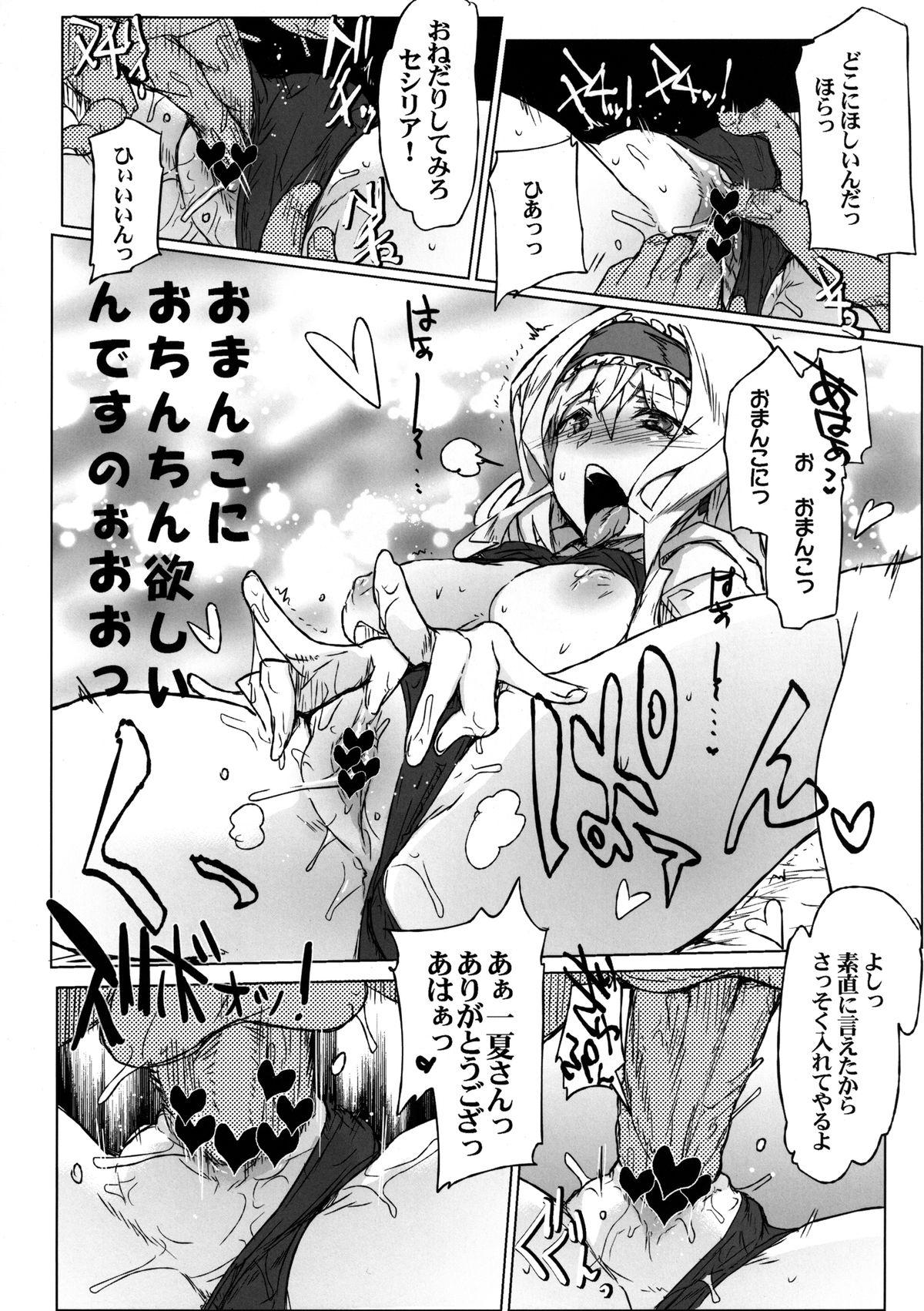 X IS Girls 2 - Infinite stratos Realamateur - Page 12