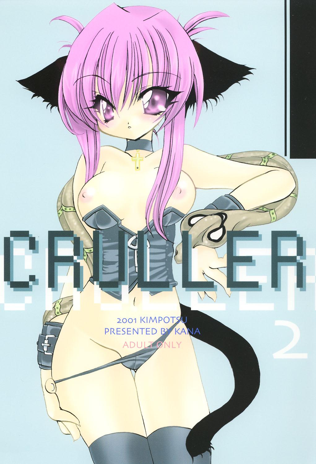Cruller 2 0