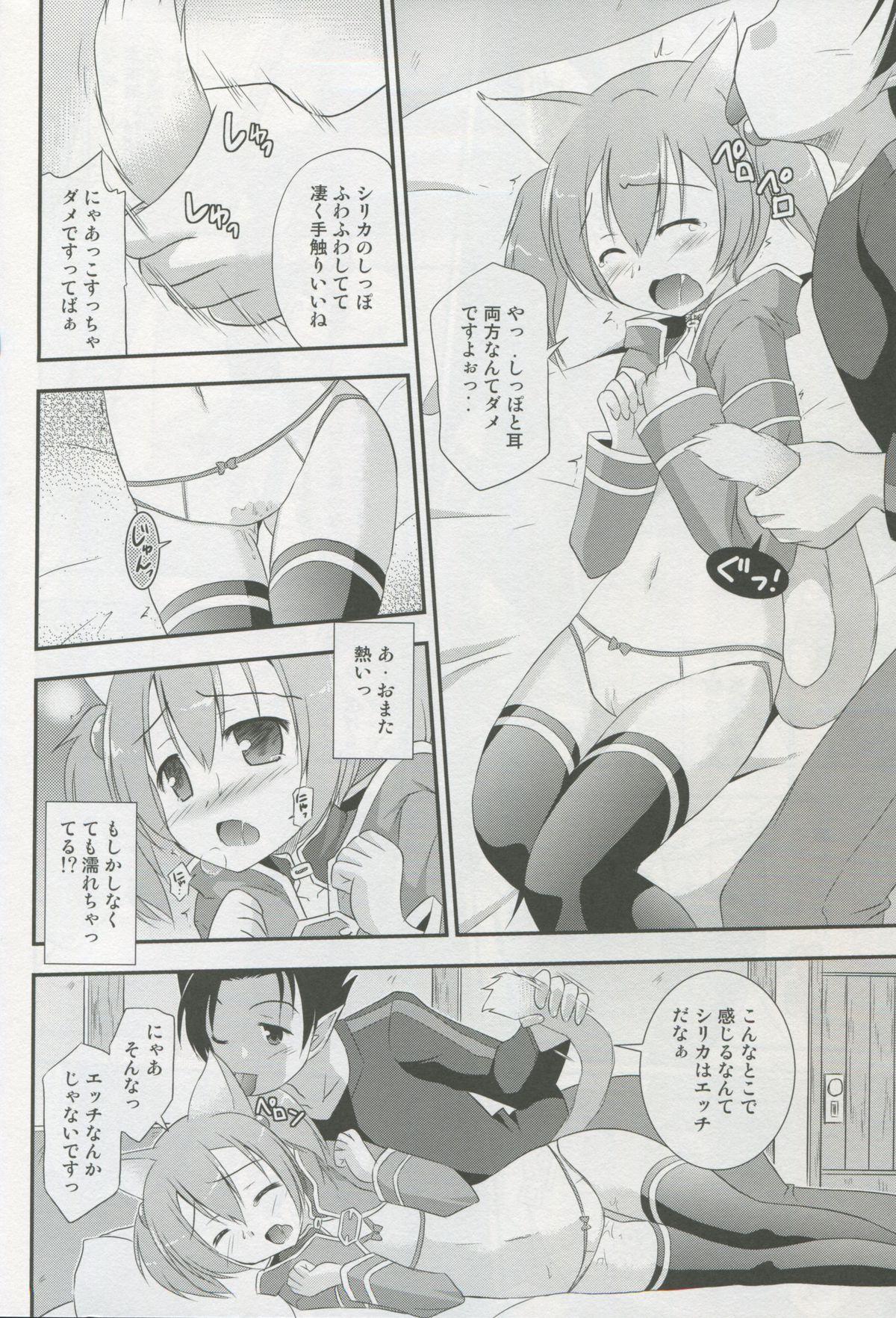 Silica Route Online 2 12