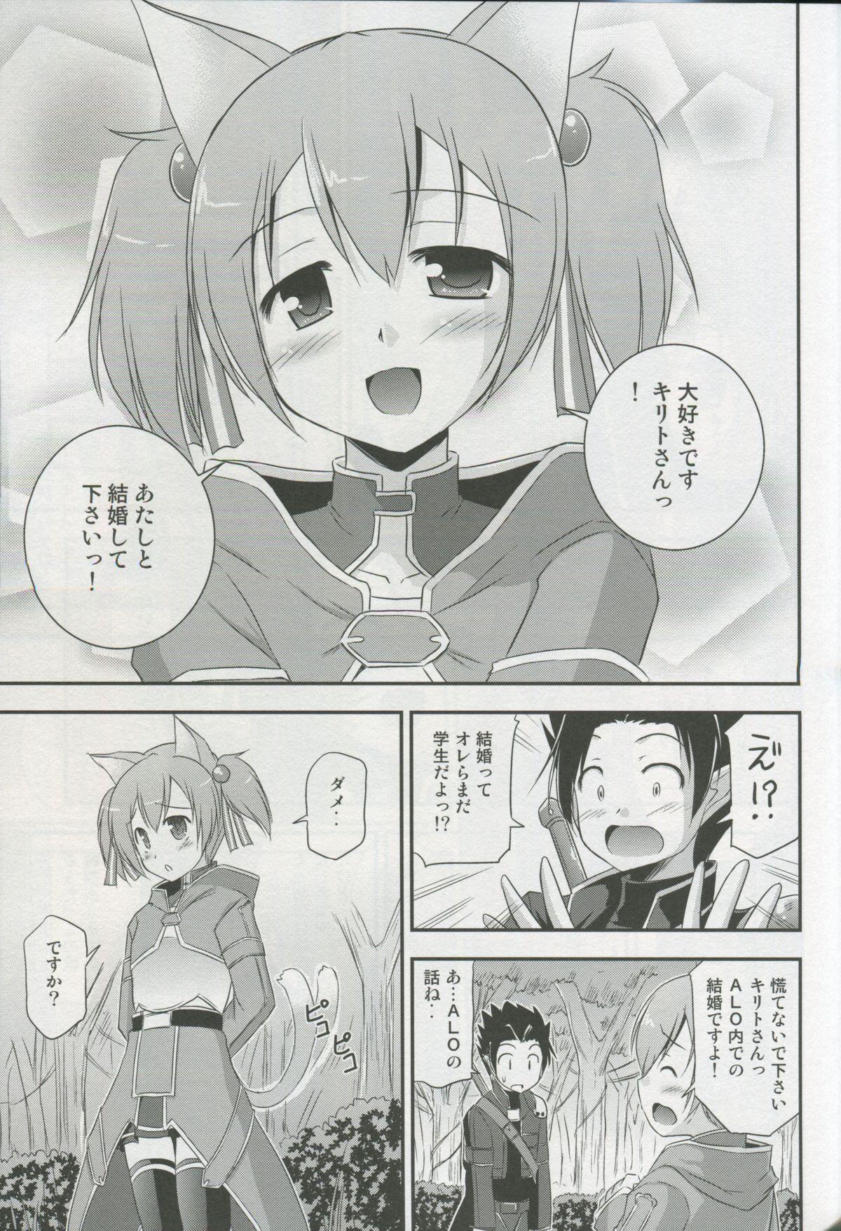 Silica Route Online 2 7