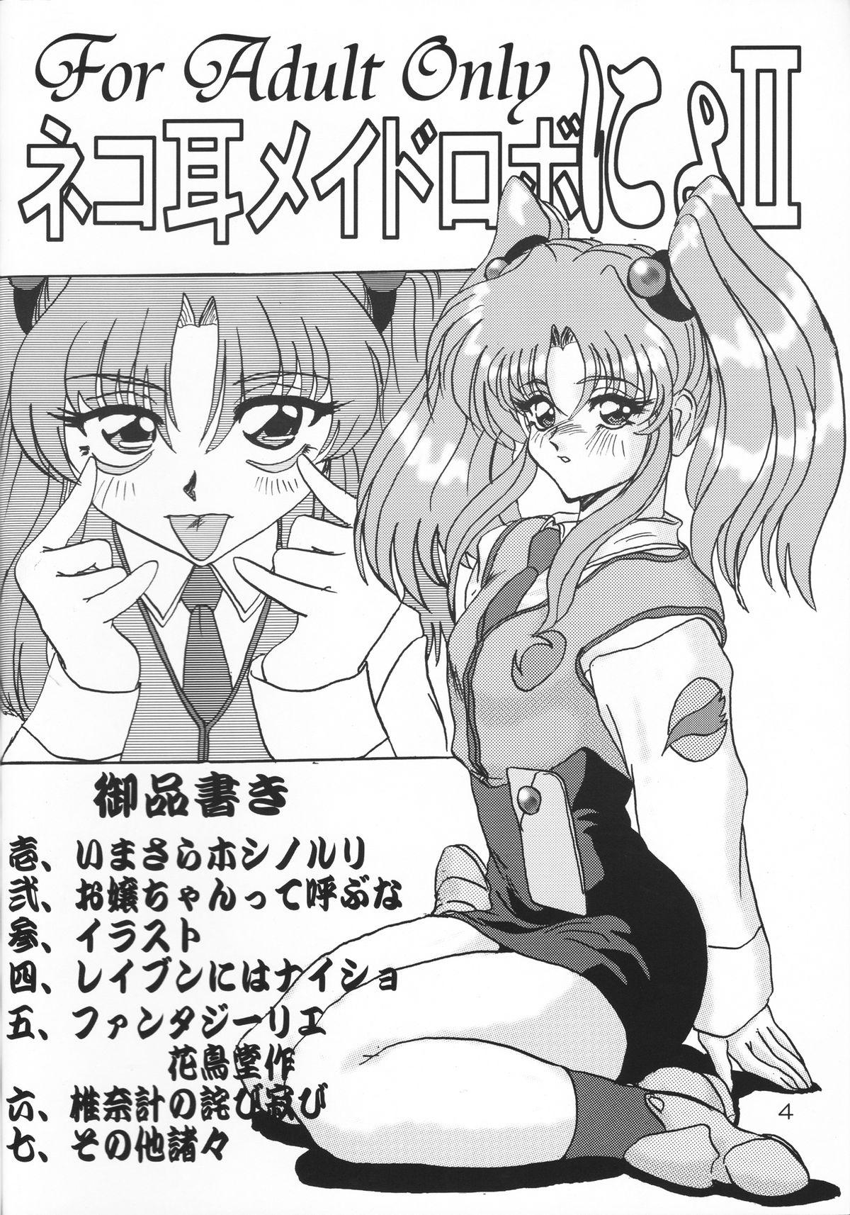 Consolo Nekomimi Maid Robo Nyo II - Martian successor nadesico Zoids Mum - Page 3