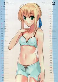 eFappy 2006 Type-Moon Calendar Fate Stay Night Sexcam 3