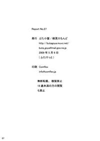 Report No.27 6