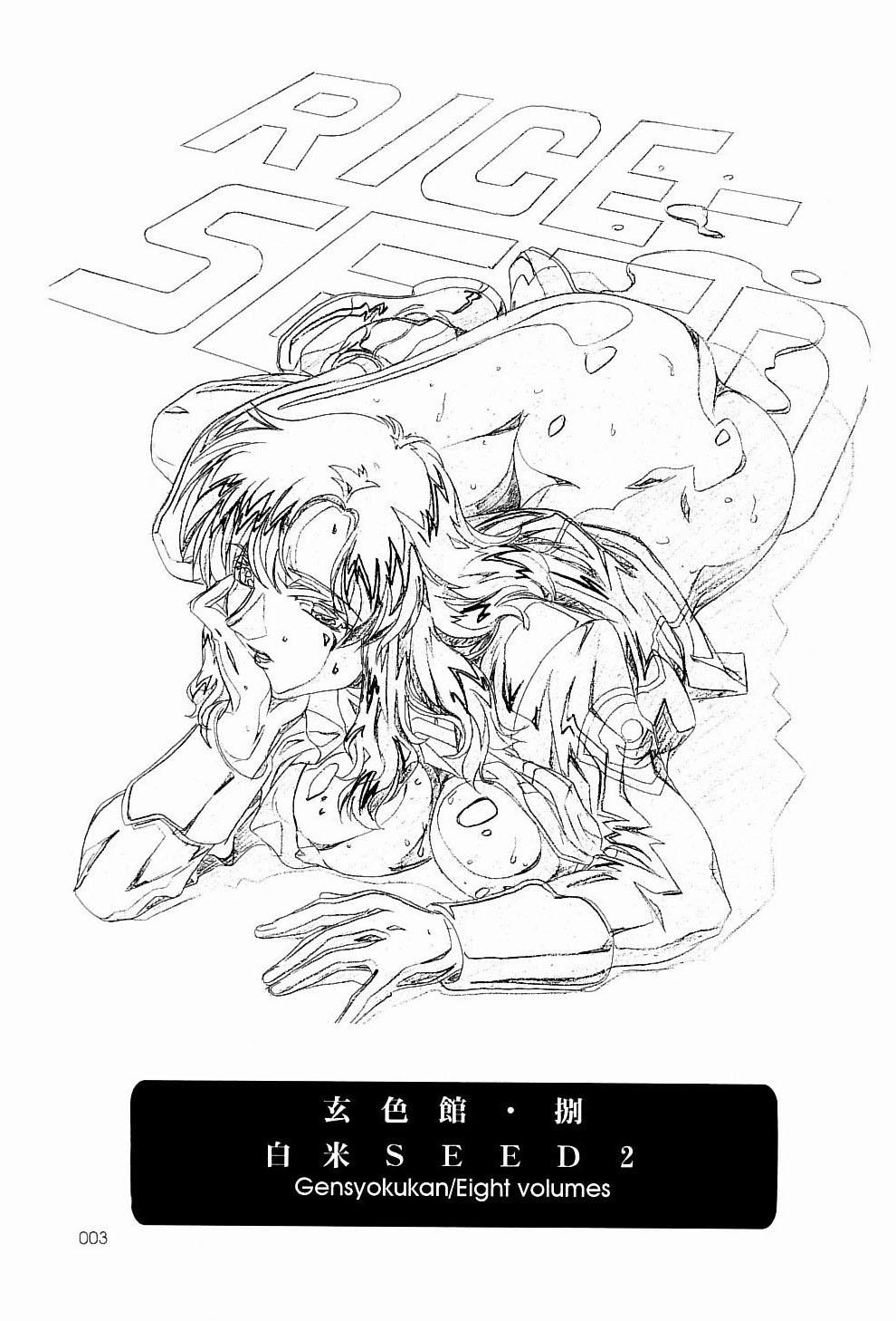 Huge Boobs Gensyokukan Hatsu Hakumai Shido 2 RICE-SEED 2 - Gundam seed Argentina - Page 2