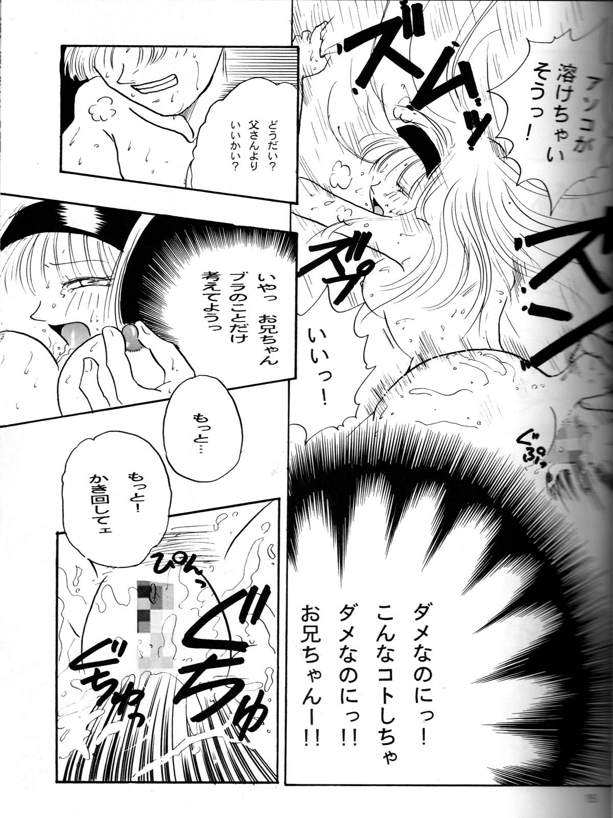 Two Ruri Rui - Dragon ball gt Man - Page 14