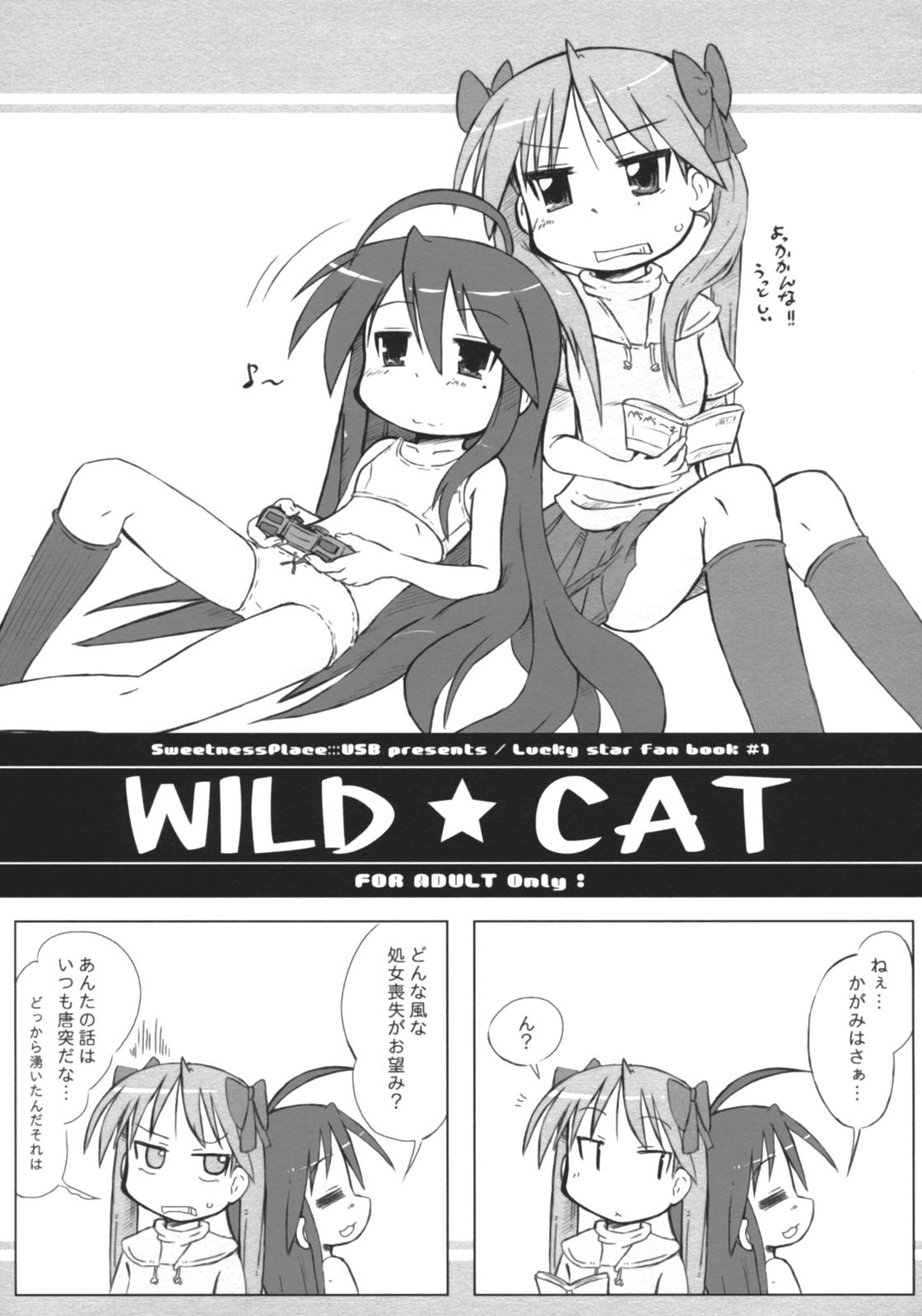 WILD CAT 1